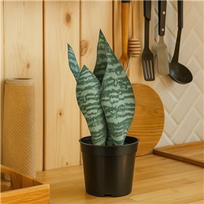 LENGUA DE SUEGRA ARTIFICIAL 27CM