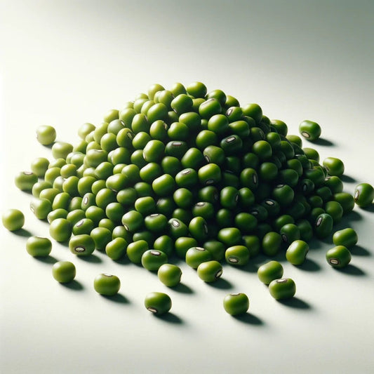 Porotos mung Quiero Natural