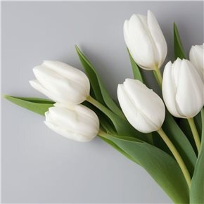RAMO 5 TULIPANES BLANCO H31CM
