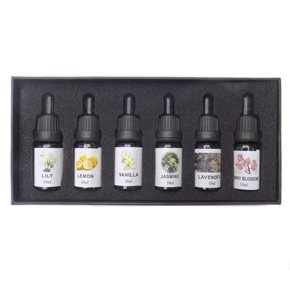 SET 6 ACEITES AROMATICOS 10ML SURTIDO