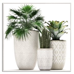 CUADRO CANVAS 40x40cm MARCO GARDEN 1