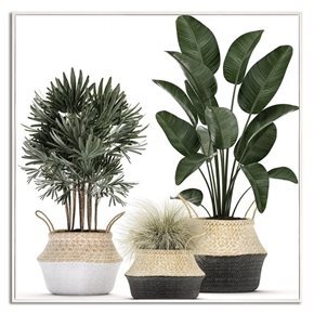 CUADRO CANVAS 40x40cm MARCO GARDEN 2