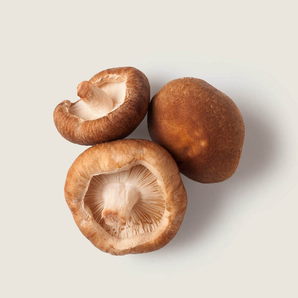 Hongos Shitake 50g - Quiero Natural