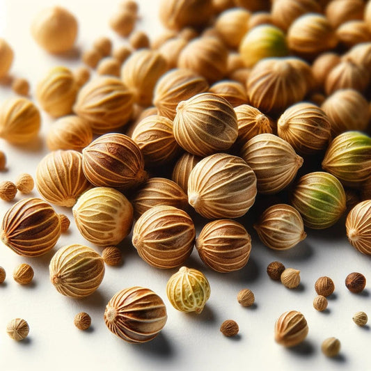 Coriando en grano Quiero Natural