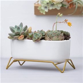 MACETA CERAMICA C/BASE 17x9x9CM BLANCO/DORADO