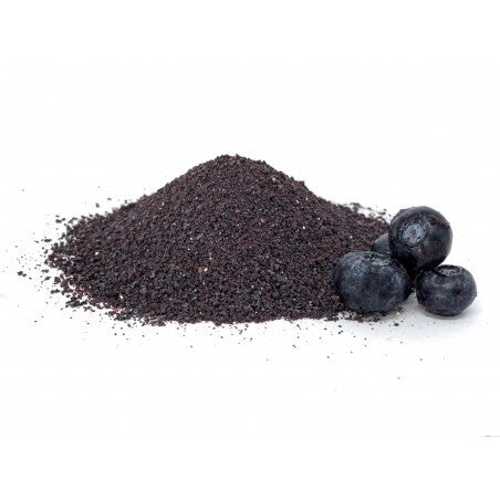 ARANDANOS EN POLVO 80 g - Quiero Natural