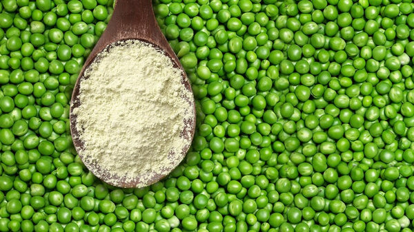 Proteina de arveja 80% 500 g - Quiero Natueal