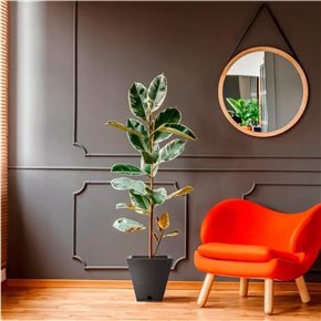 MACETA 29X34CM ZURIQUE GRAPHITO EFEC.PIEDRA GRIS O