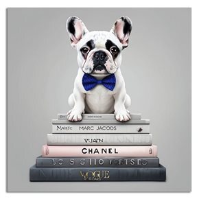 CUADRO CANVAS 40x40cm PERRO BULLDOG BLANCO 1