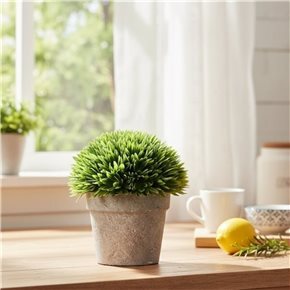 PLANTA LOTO GRANDE NEBULIZADO EN MACETA H18X14CM