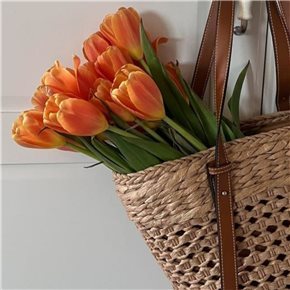 RAMO 9 TULIPANES NARANJA