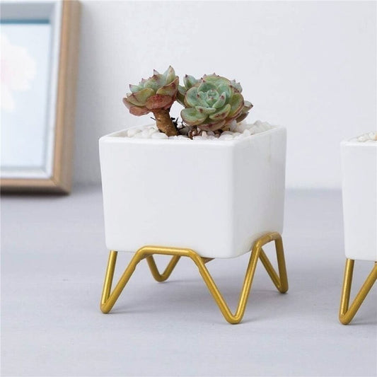 MACETA CERAMICA C/BASE 6x6x9CM BLANCO/DORADO