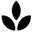 Quiero Natural logo